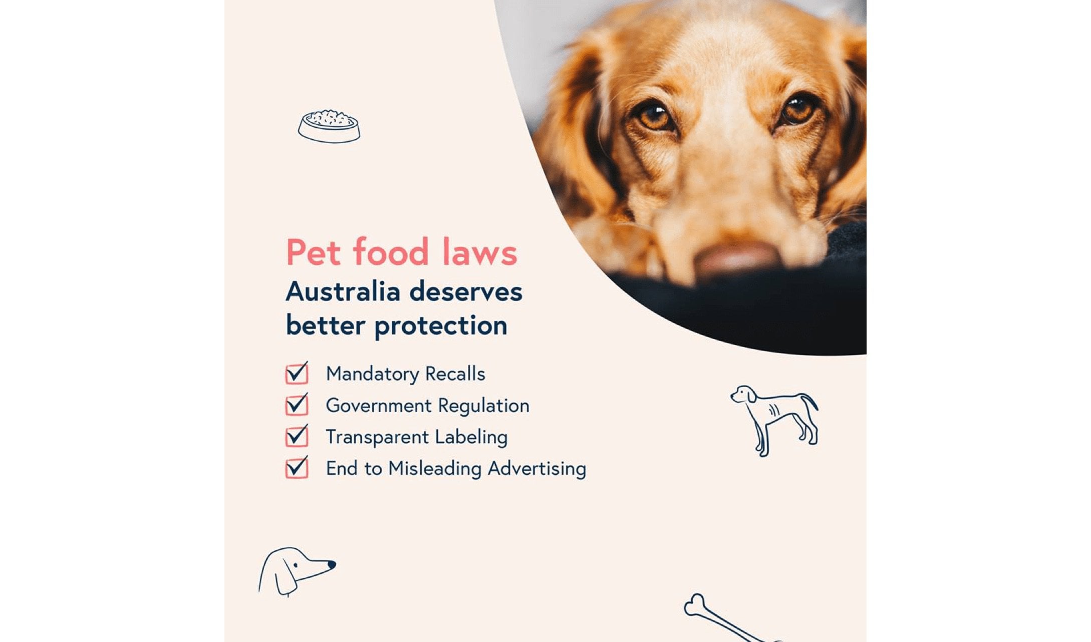 Supporting image for this article
